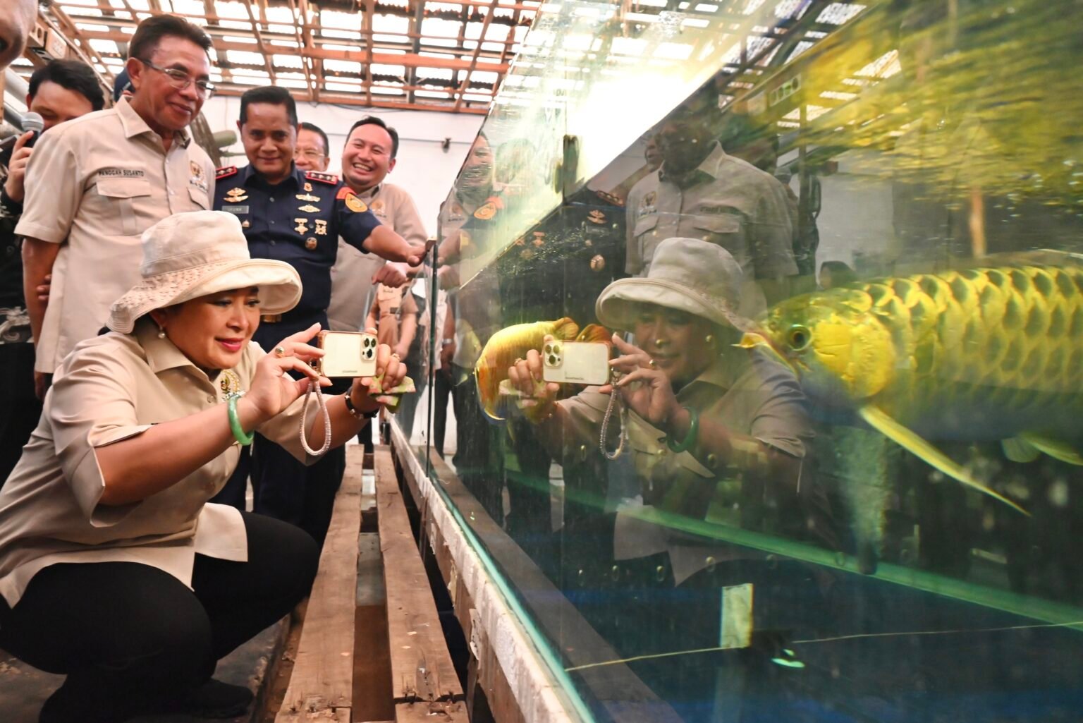 Kalbar Jadi Produsen Utama Arwana, Ekspor Perdana Super Red ke Taiwan Diharapkan Dongkrak Devisa Negara