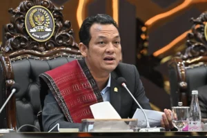 Martin Manurung Tegaskan Pentingnya Percepat Bahas RUU Masayarakat Hukum Adat