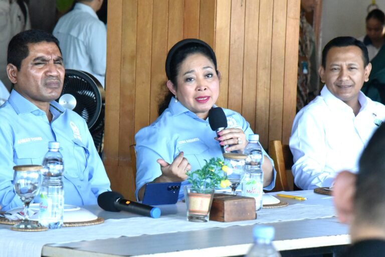 Kuota Pengunjung ke TN Komodo Dibatasi, Komisi IV Dorong Kenaikan Bertahap