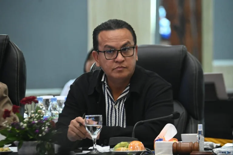 Pansus RUU HPI Tekankan Perlindungan Hukum bagi Pengusaha Lokal dari Praktik Curang Mitra Asing