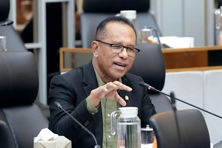 Lahan Gambut dan Mangrove Jangan Dibiarkan Rusak, Ada Ancaman Karhutla dan Abrasi