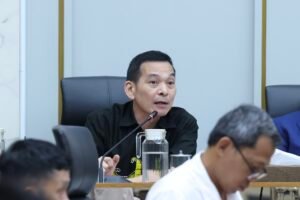 Puncak El Niño Kian Dekat, Daniel Johan Ingatkan Risiko Karhutla